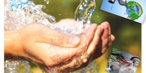 BANDO USO DEL AGUA