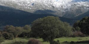 Se abre el plazo de presentación de ofertas para la enajenación de parcelas municipales mediante concurso por procedimiento abierto.