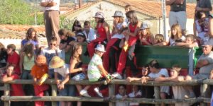 SOLICITUD DE PEÑAS