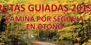 RUTAS GUIADAS 2019