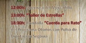 MERCADILLO NAVIDEÑO