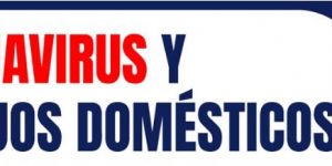 INSTRUCCIÓN SOBRE GESTIÓN DE RESIDUOS DOMÉSTICOS Y COVID-19