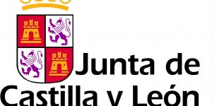 GUÍA DE APLICACIÓN POR NIVELES DE ALERTA CyL