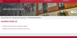 SUBVENCIONES Y AYUDAS JUNTA DE CASTILLA Y LEON