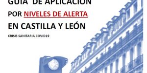 GUÍA NIVELES DE ALERTA EN CyL (5-3-21)