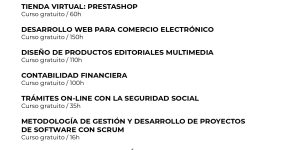 FORMACIÓN ONLINE SEPE
